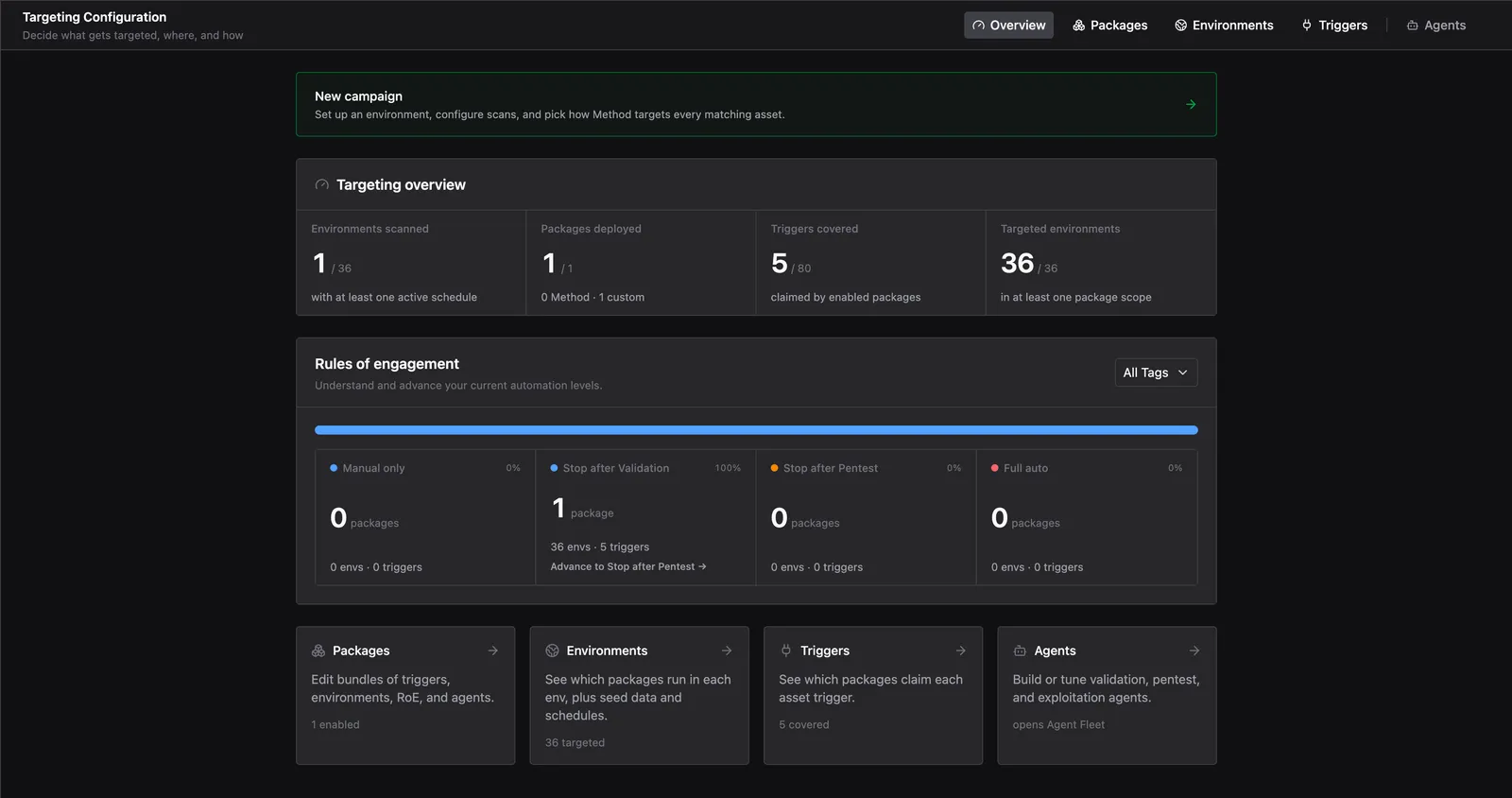 Targeting configuration tabs showing Overview, Rules of Engagement, Packages, Environments, and Triggers