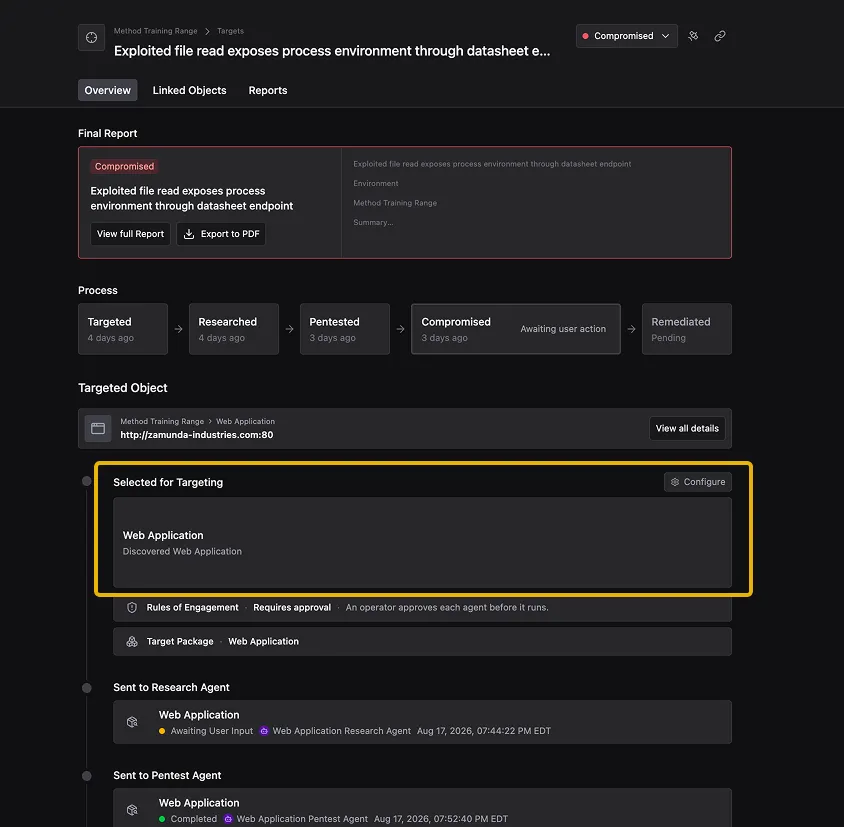Target detail view showing the Selected for Targeting section with Web Application and Discovered Web Application Trigger highlighted.