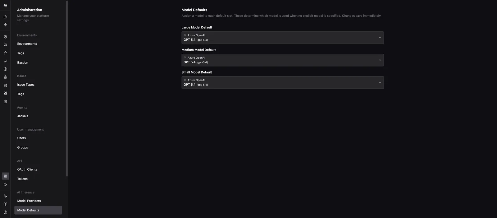 Model Defaults page showing the Large, Medium, and Small default slots